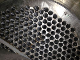 三效2.5噸胡蘿卜汁7